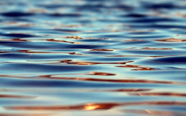 Man dies in apparant drowning on Lake Washington