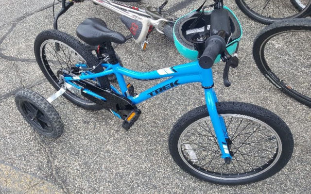 Bicycle stolen from special needs child at Sibley Park