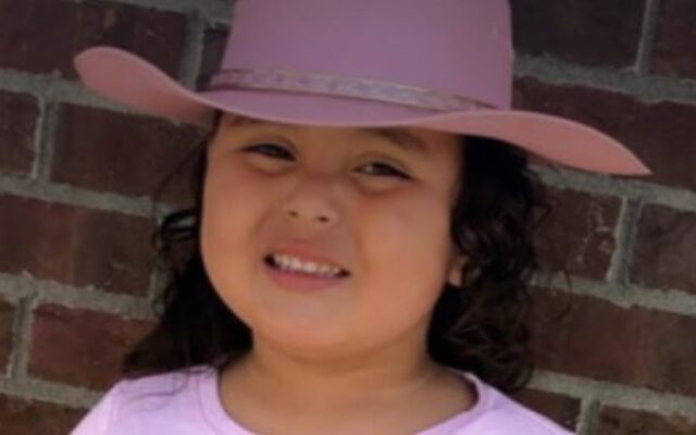 Online fundraiser started for family of 4-year-old killed by fallen branch