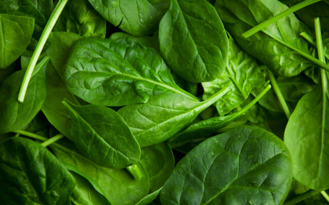 Baby spinach linked to MN E. Coli cases