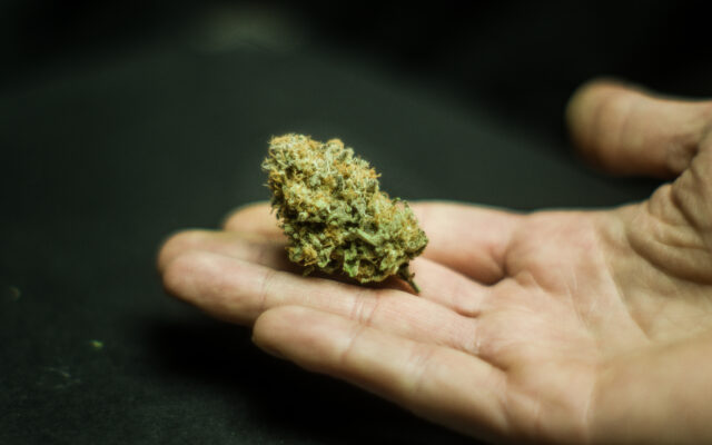 Marijuana legalization advancing in Minnesota Legislature