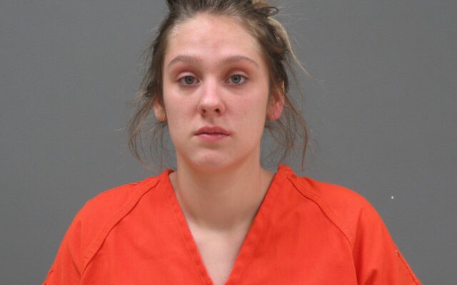 Charges: Drunk driver, 18, blew stop sign, kicked & bit officers