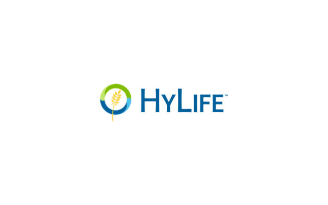 PETA seeks charges for alleged hog abuse at HyLife Foods