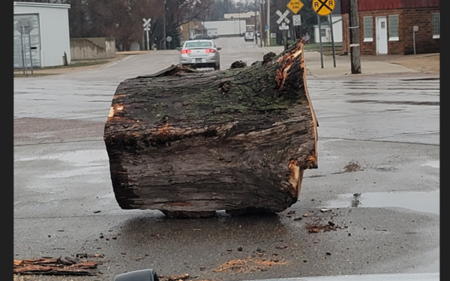 Someone dropped a giant log in Minnesota Lake