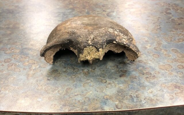Human bone found in Minnesota River determined to be nearly 8,000 years old