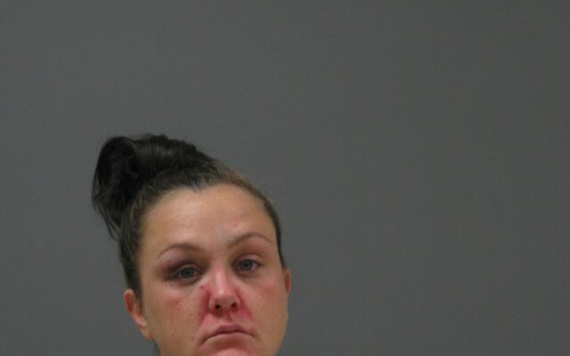 Mankato woman accused of hitting child in head with fire extinguisher