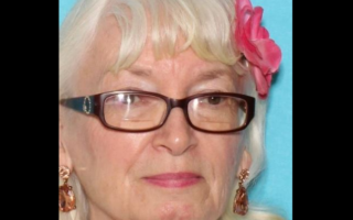 No sign of missing 81-year-old Sanborn woman after dog found