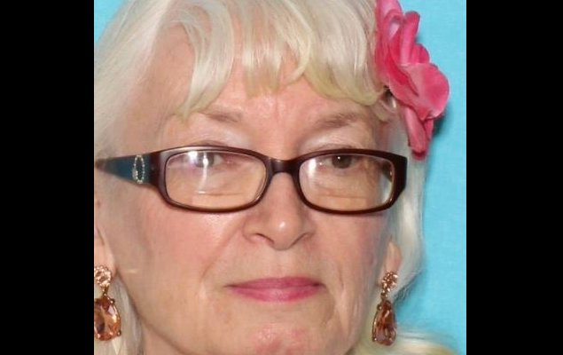 No sign of missing 81-year-old Sanborn woman after dog found