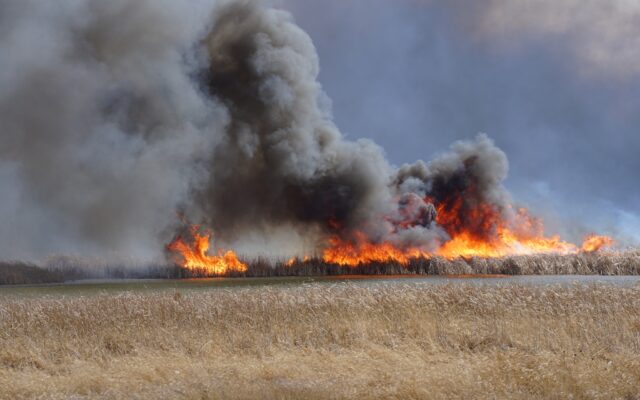 Update: 3 injured in Waseca wildfire; ‘less than 2,000’ acres burned