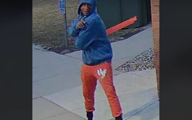 Tree vandal wanted by Mankato police