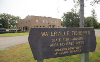 Waterville Hatchery holding public tours Wednesday